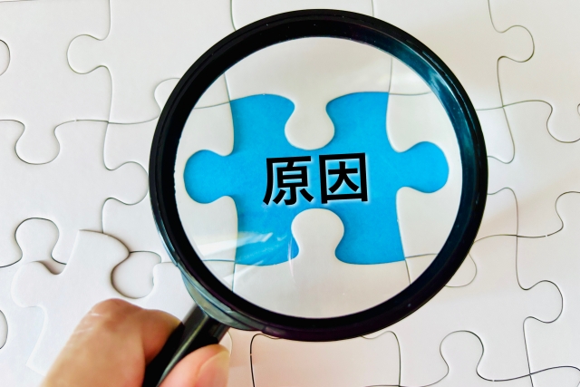 遺伝以外の原因