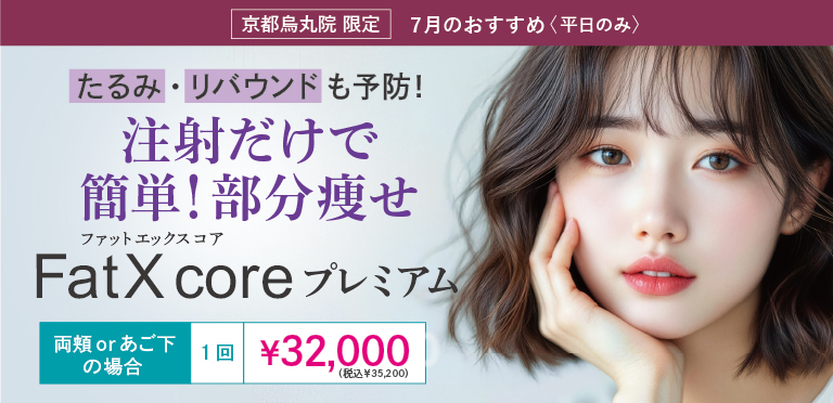 脂肪溶解注射「FatX coreプレミアム（ファットエックス コア