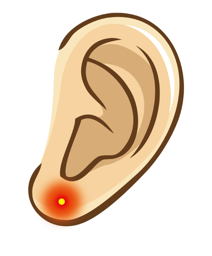 しこり 耳たぶ 耳たぶのしこり 症状の原因・病気一覧・診療科