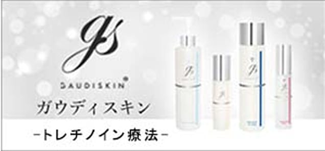 ガウディスキン
